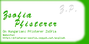 zsofia pfisterer business card